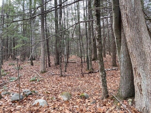 Property Photo: Lt 55 Wendell Rd MA 01355