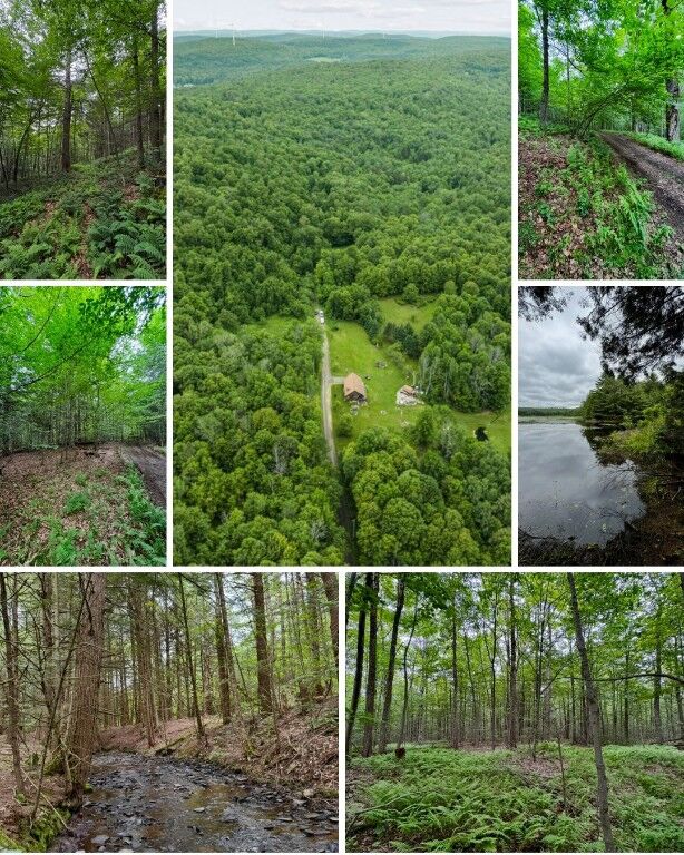 Property Photo:  308 Tennent Road 3  NY 13865 