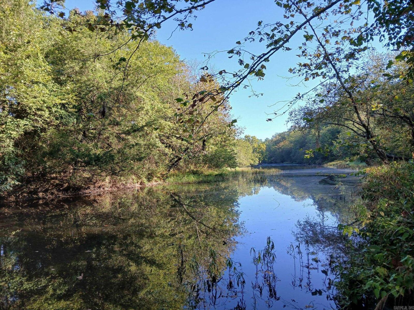 Property Photo:  Unk Polk Road 74  AR 71953 