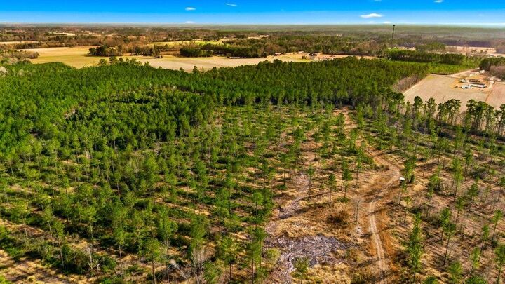 Property Photo:  Acreage Highway 45  SC 29569 