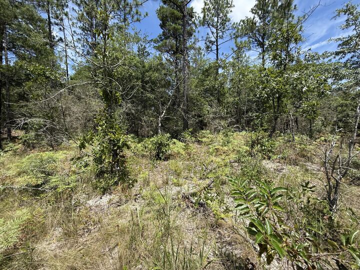 Property Photo:  Lot 38 Blk 68 On Clearwater Drive  FL 32433 