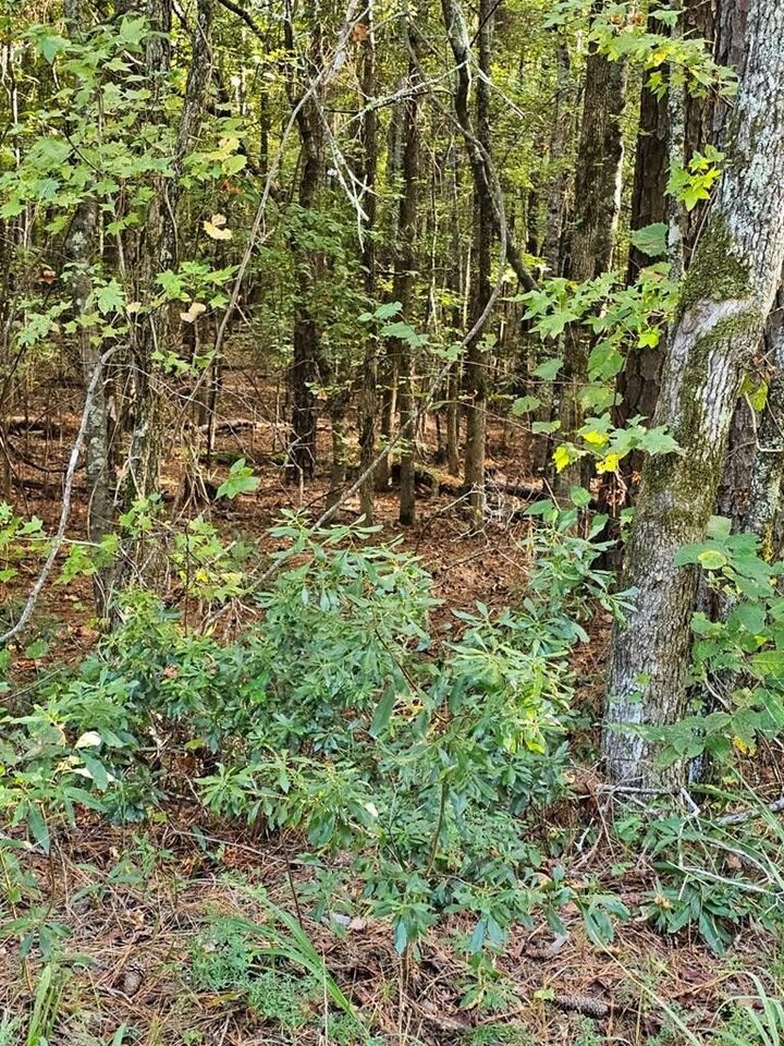 Property Photo:  Blk 14 Lot 05 Quince Court  GA 31831 