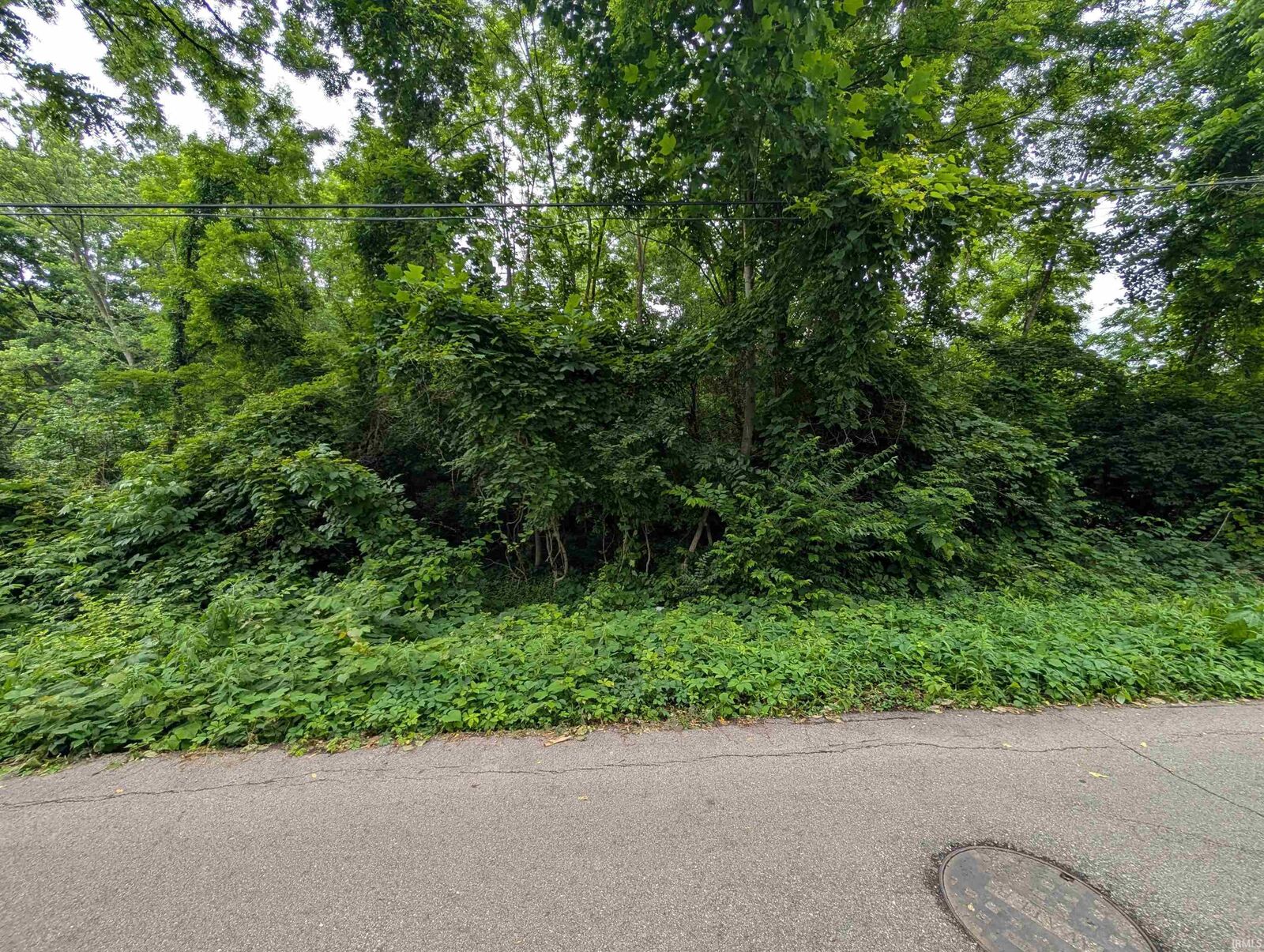 Property Photo:  .24 Acre W 15th Street  IN 47404 