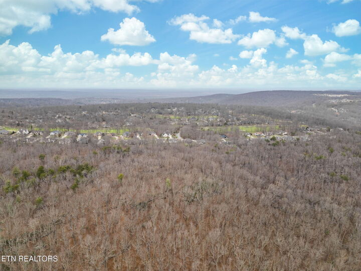 Property Photo: 113 Cliffside Drive TN 38558