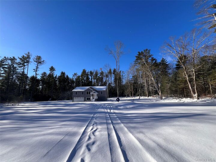 Property Photo:  26 Summit Drive  NY 12719 