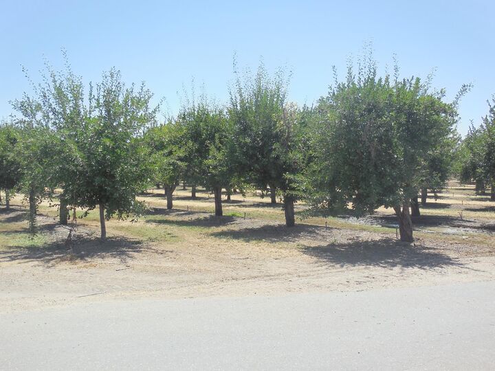Property Photo:  2200 Encinal Road  CA 95953 