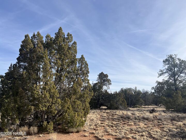 Property Photo:  4814 E Woodland Ranch Road  AZ 86046 
