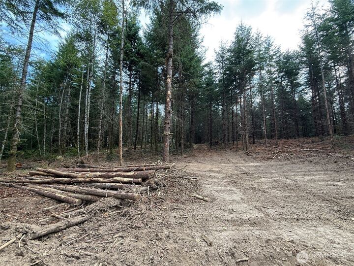 Property Photo:  216 Xx  Zenkner Valley Road SW  WA 98531 