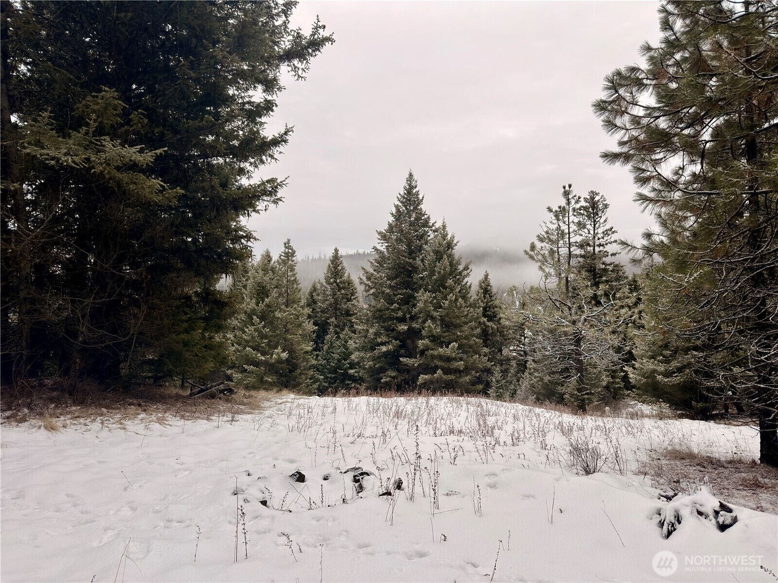 Property Photo: 25 Miner'S Ridge Road WA 98844