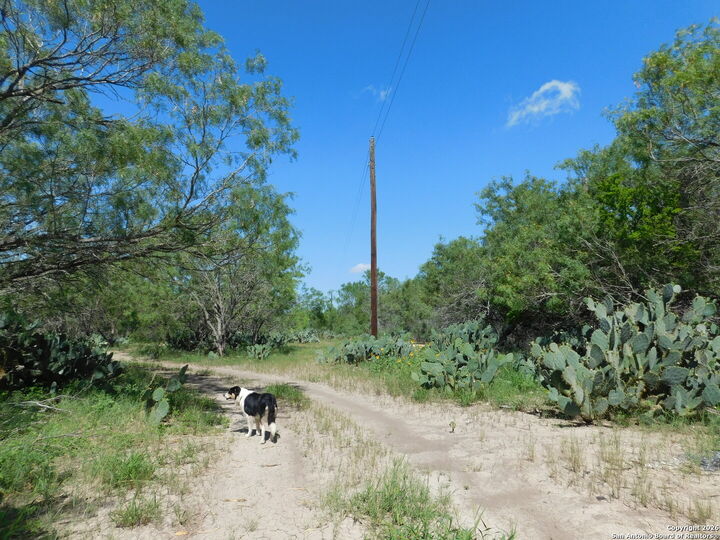 Property Photo:  Tbd McCauley Rd  TX 78114 