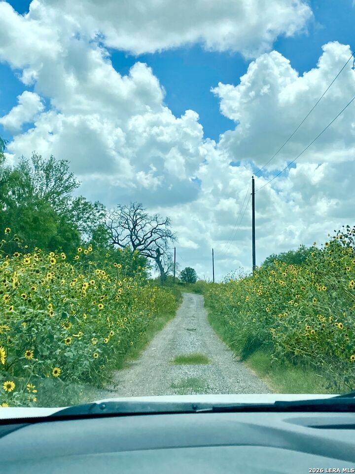 Property Photo:  1590 McCauley Rd  TX 78114 