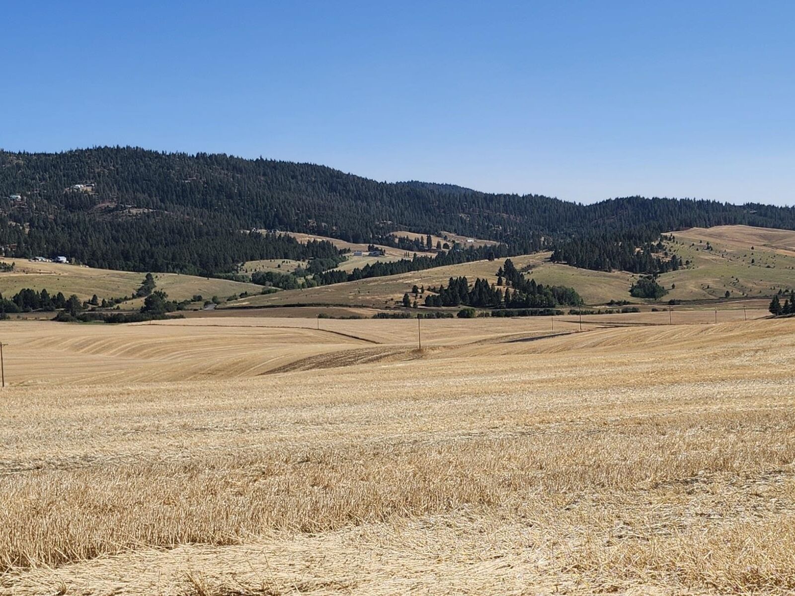 Property Photo:  S 8004 Jackson Rd  WA 99023 