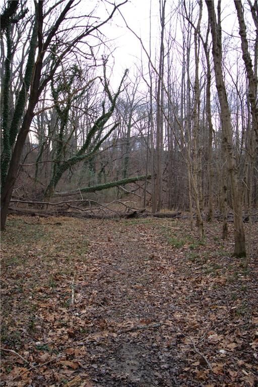 Property Photo:  226 Hamburg Street  NC 27030 