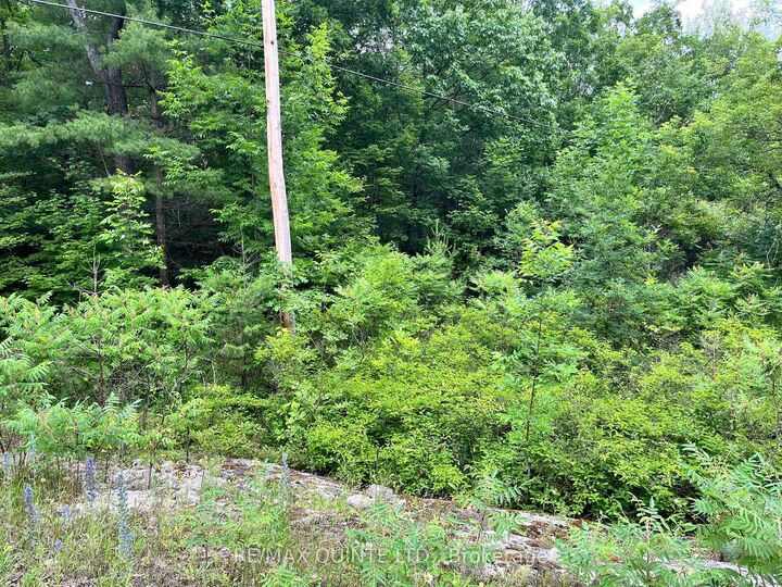 Property Photo: 0 (Pin - 40264-0091) Potter Settlement Road ON K0K 3J0