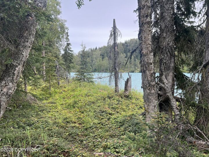 Property Photo: Tract C Jackie Ann Street AK 99610