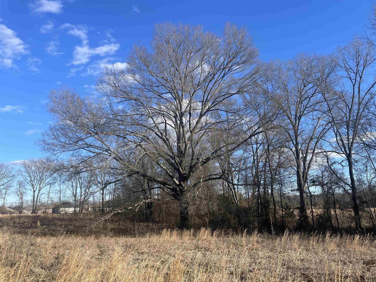 Property Photo:  Weatherwood Drive  AR 72058 