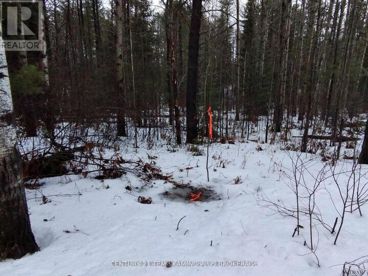 Photo de la propriété:  Part 13 Girl Guide Road  ON P0C 1C0 