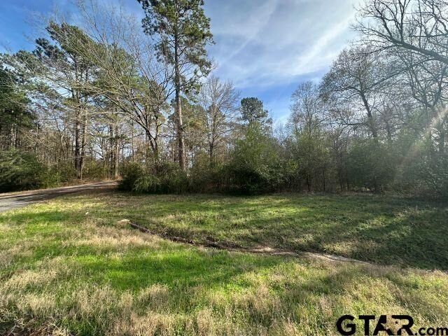 Property Photo: Tbd Cr 286 TX 75946