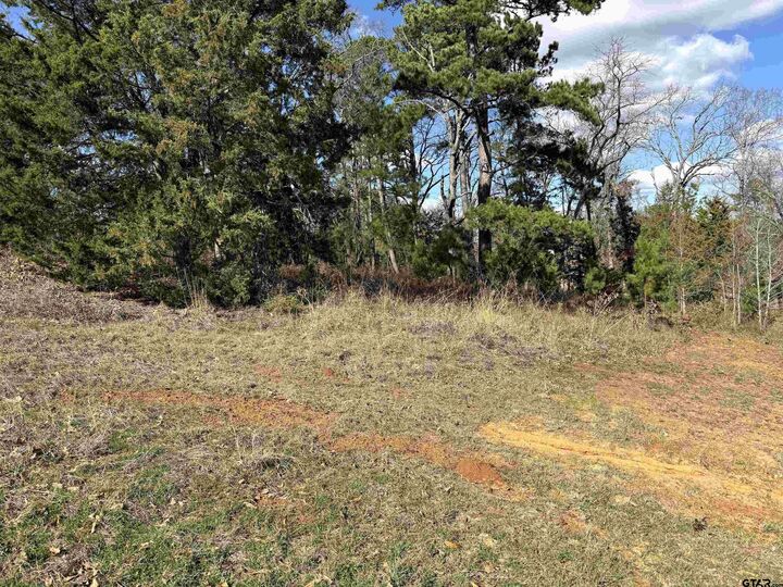 Property Photo:  15899 Crazyhorse  Drive  TX 75771 