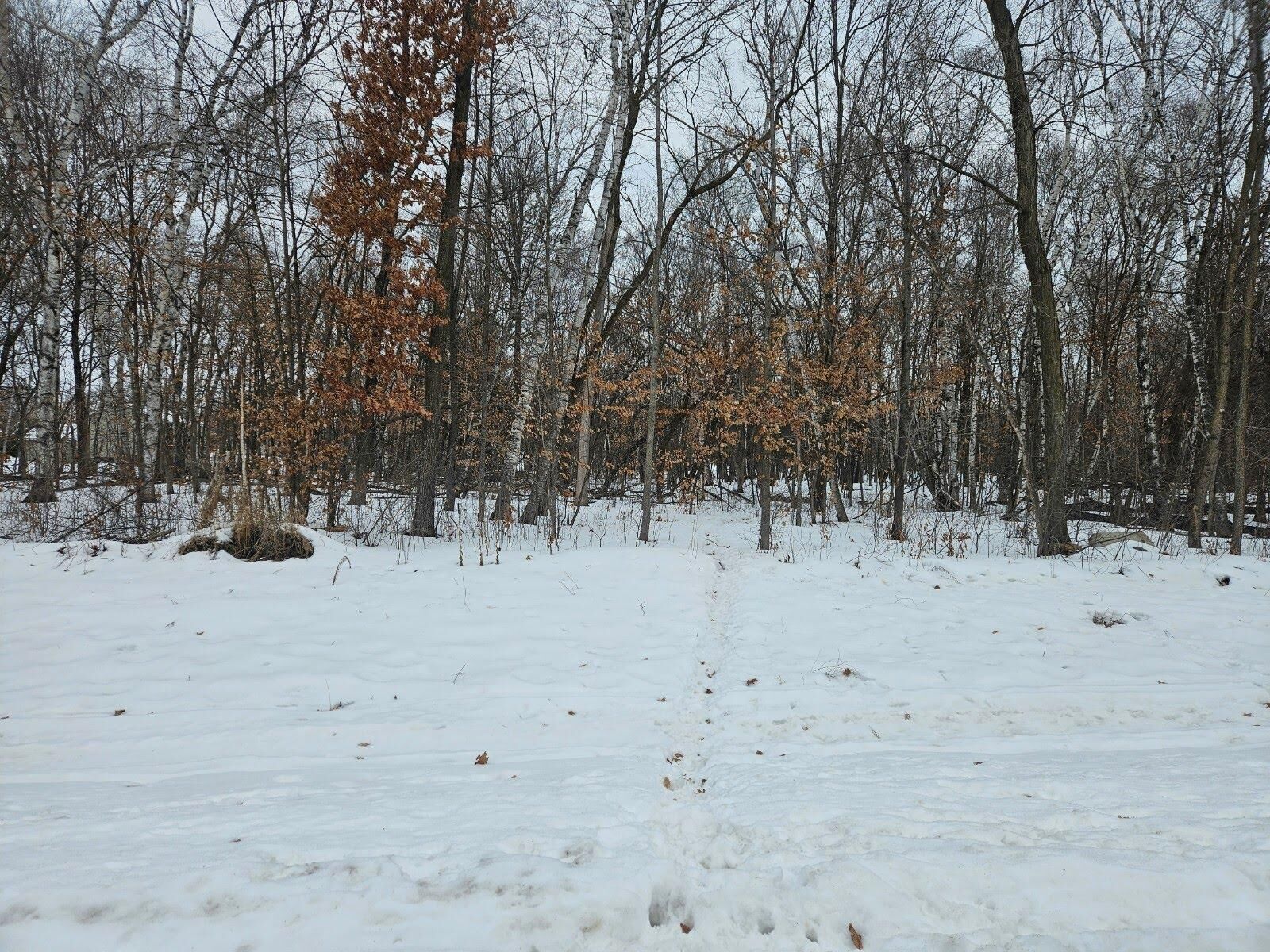 Property Photo: Lot 1, Block 2 2 1/2 Avenue NE MN 56375