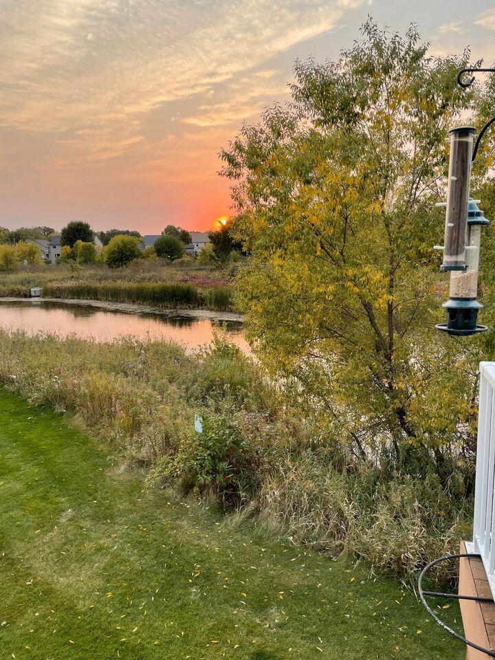 Property Photo:  20467 Cypress Drive  MN 55024 