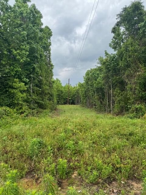 Property Photo:  Shirley Loop  LA 70634 