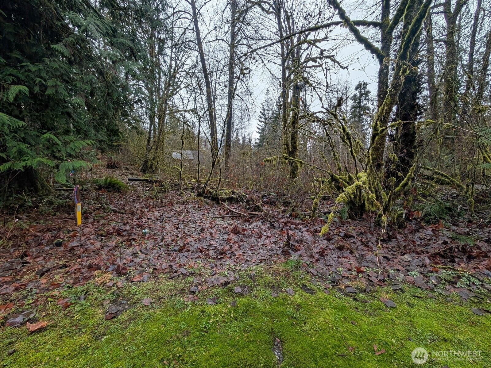 Property Photo: 16006 Shuksan Rim Drive WA 98244