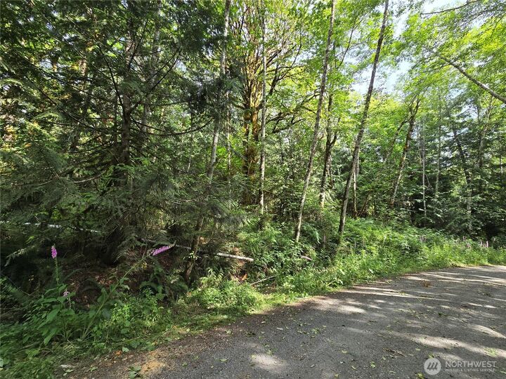 Property Photo: 0 Xxx Triton Heights Road WA 98555