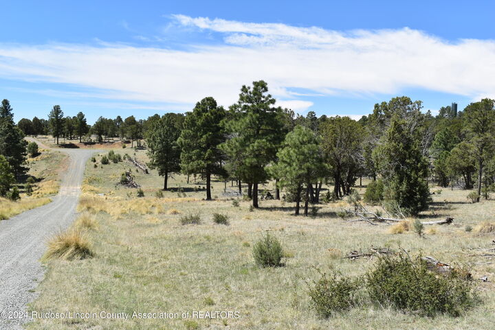Property Photo:  Tract 1&3 Silver Fox Lane  NM 88312 