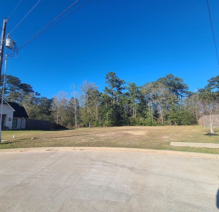 Property Photo:  8285 Royal Oaks Dr.  TX 77657 