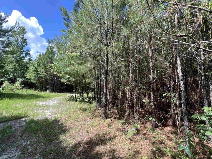 Property Photo:  Xx Hardaway Highway  FL 32332 