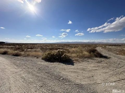 Property Photo:  45 Desert View Drive  NV 89419 