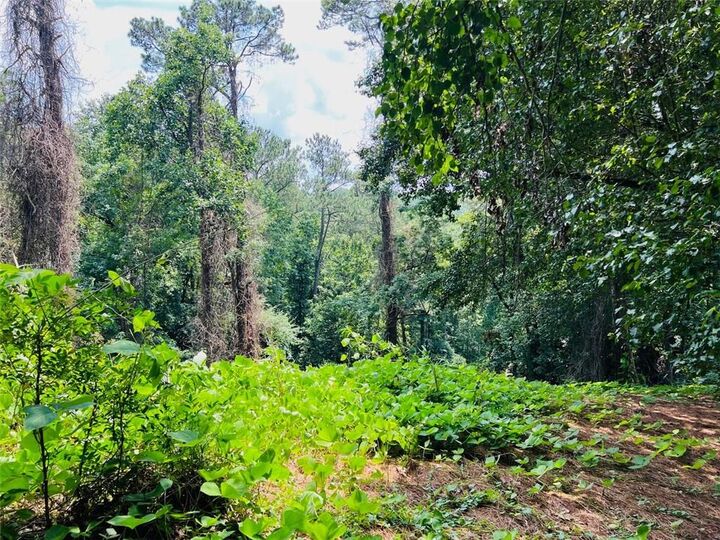 Property Photo:  Lot 6 N Riverside Circle  GA 30328 