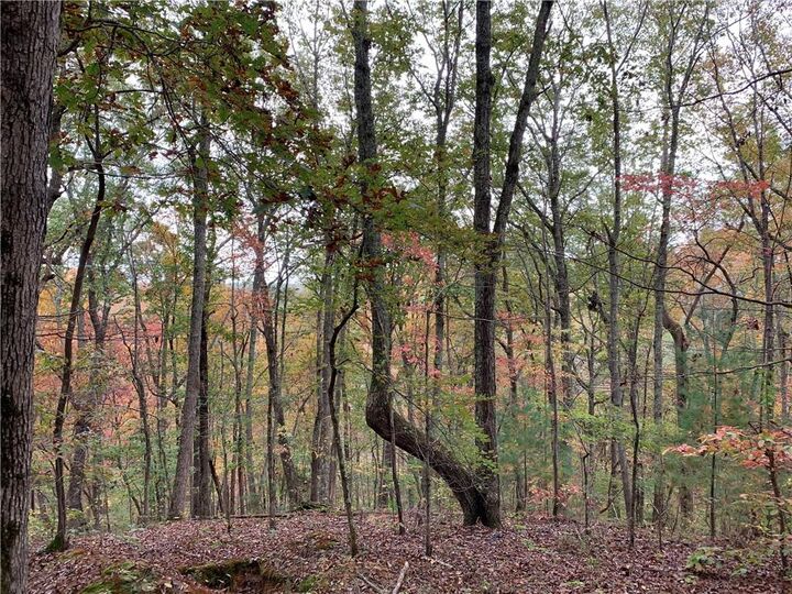 Property Photo:  128 Adair Drive  GA 30734 