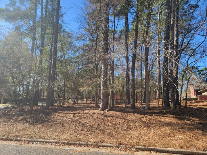 Property Photo:  601 Hillcrest Circle  TX 77340 