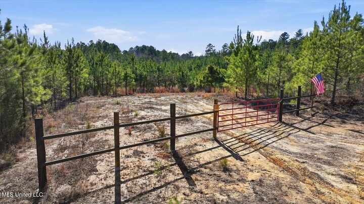 Property Photo:  1024 Milligan Springs Road  MS 39744 