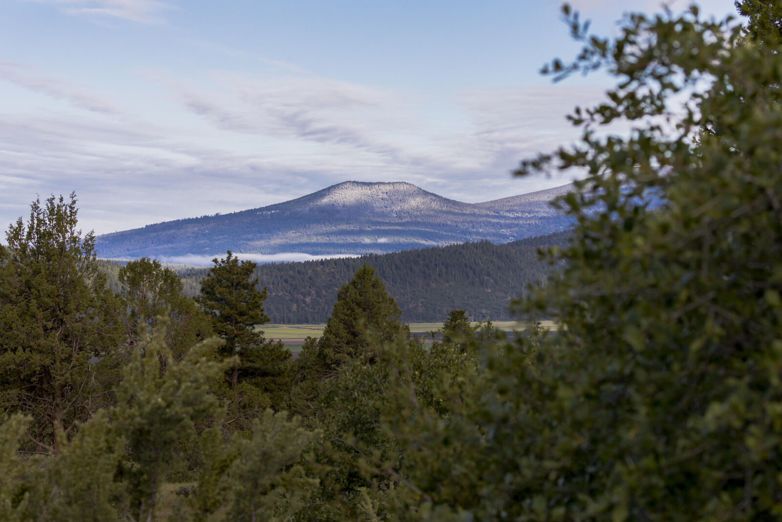 Property Photo:  996 Abbott Mountain Way  OR 97601 