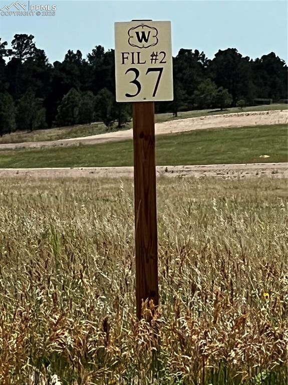 Property Photo:  16990 Early Light Drive  CO 80908 