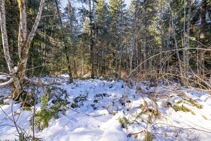 Property Photo:  0  Firestation Avenue NW  WA 98380 