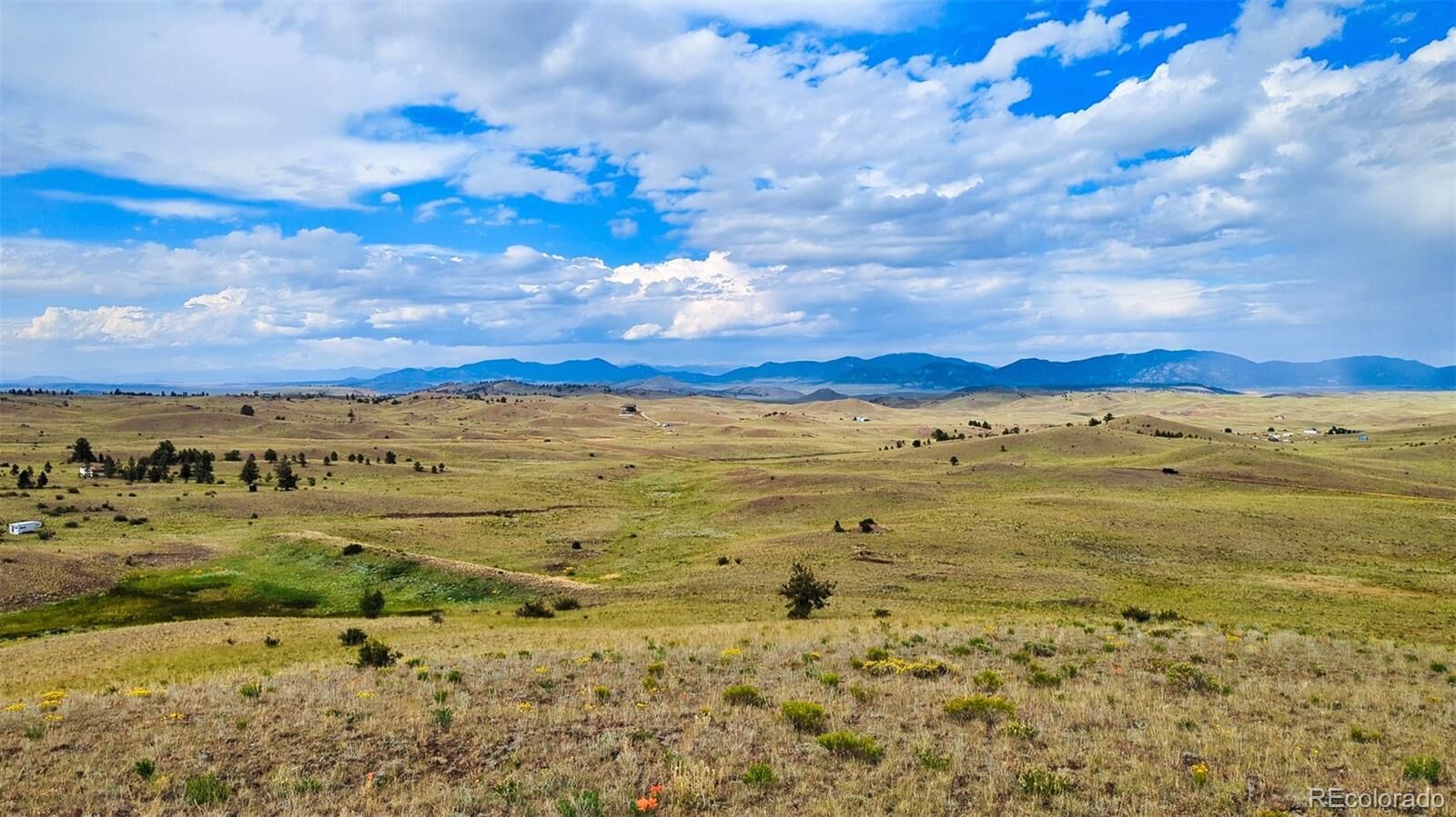 Property Photo:  631 Dwyer Trail  CO 80449 