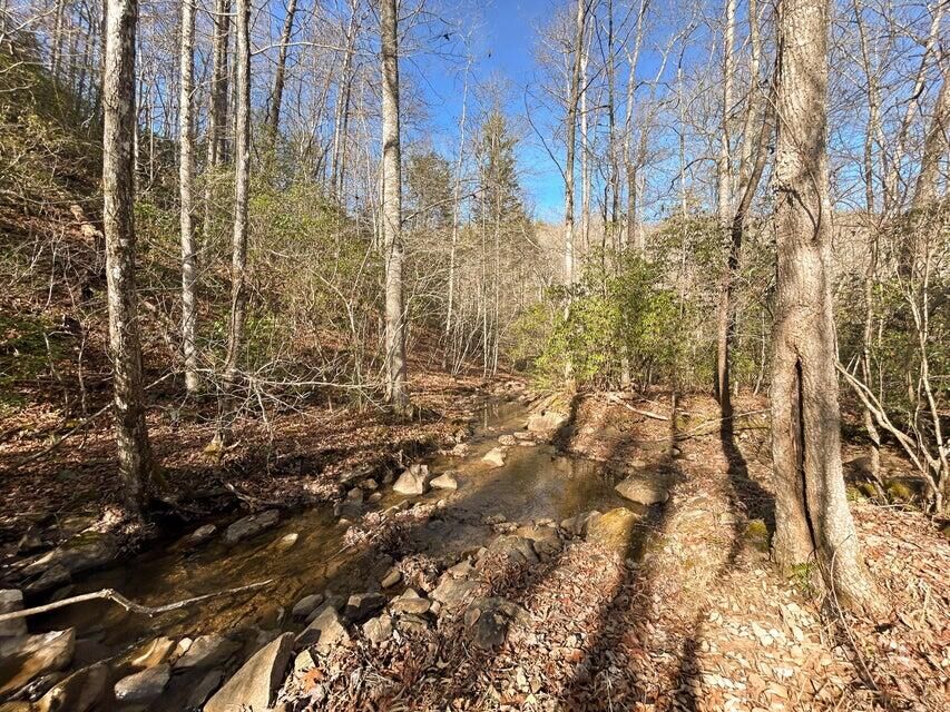 Property Photo:  5 Deerhead Road  TN 37327 