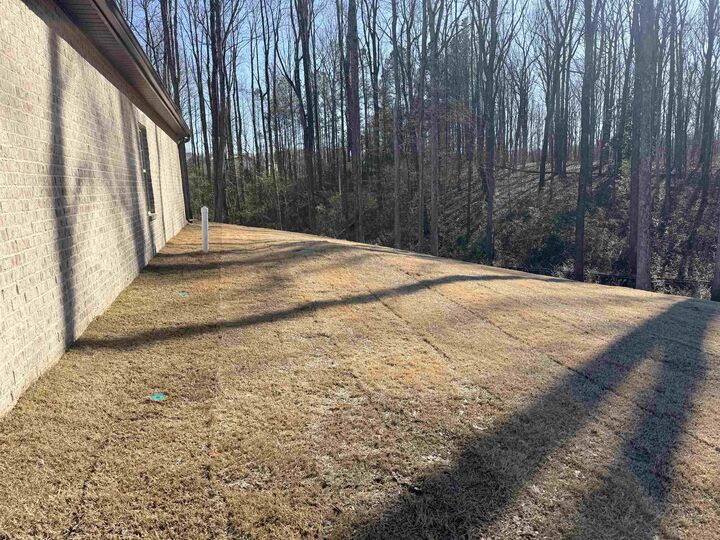 Property Photo:  115 Oakley Dr  AL 35055 - CULLMAN 