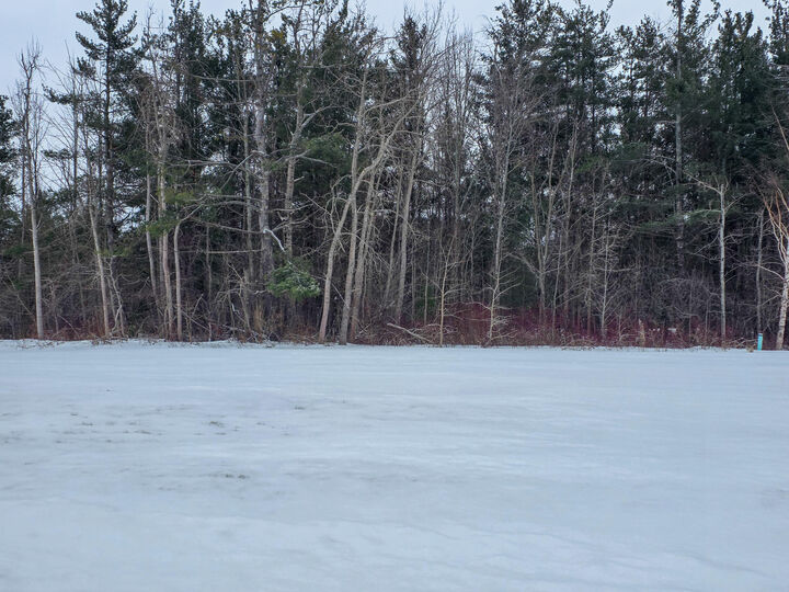 Property Photo:  V/L Lot 13 Rivers Ridge Court  MI 49721 