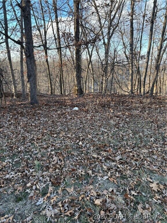 Property Photo: Carol Rd. MO 65049