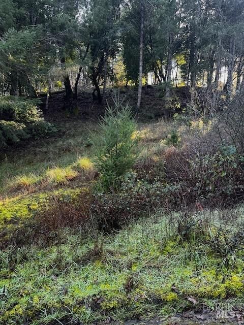 Property Photo:  24583 Cypress Drive  CA 95490 