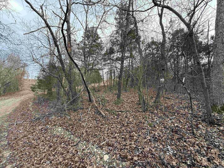 Property Photo: 001 Mallard Drive AR 72630