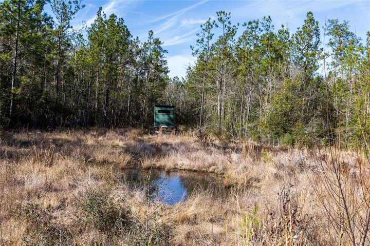 Property Photo: 1865 N Hwy 326 TX 77625