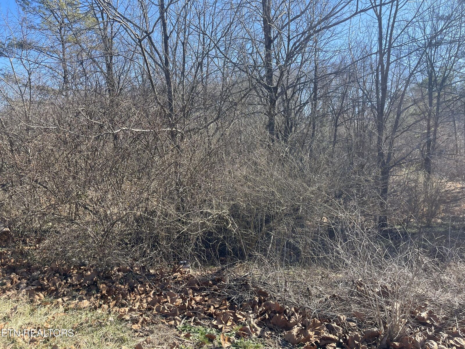 Property Photo: Livesay St TN 38555