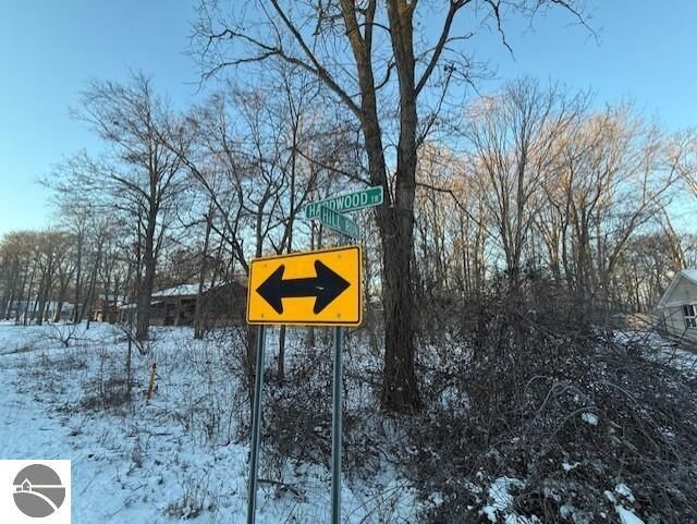 Property Photo:  Tbd Hardwood Trail  MI 48871 