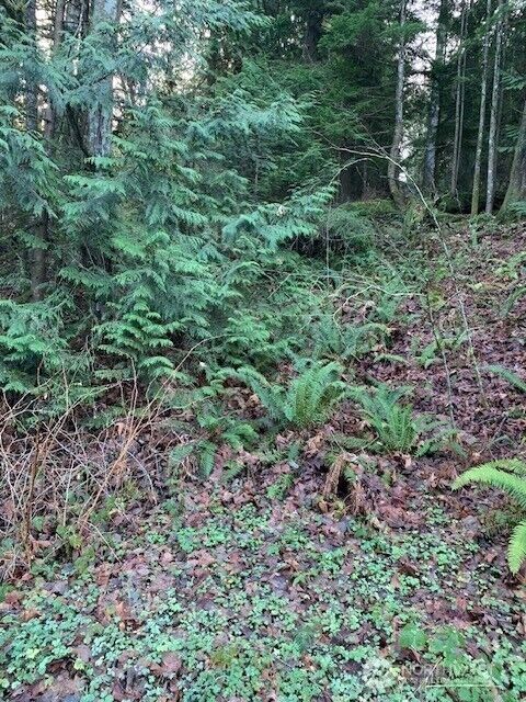 Property Photo: 283 Xx SE 146th Street WA 98027